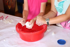 IMG_1488-Copy