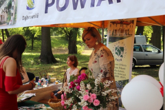 IMG_4014-Copy
