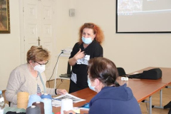 IMG_8379-Copy